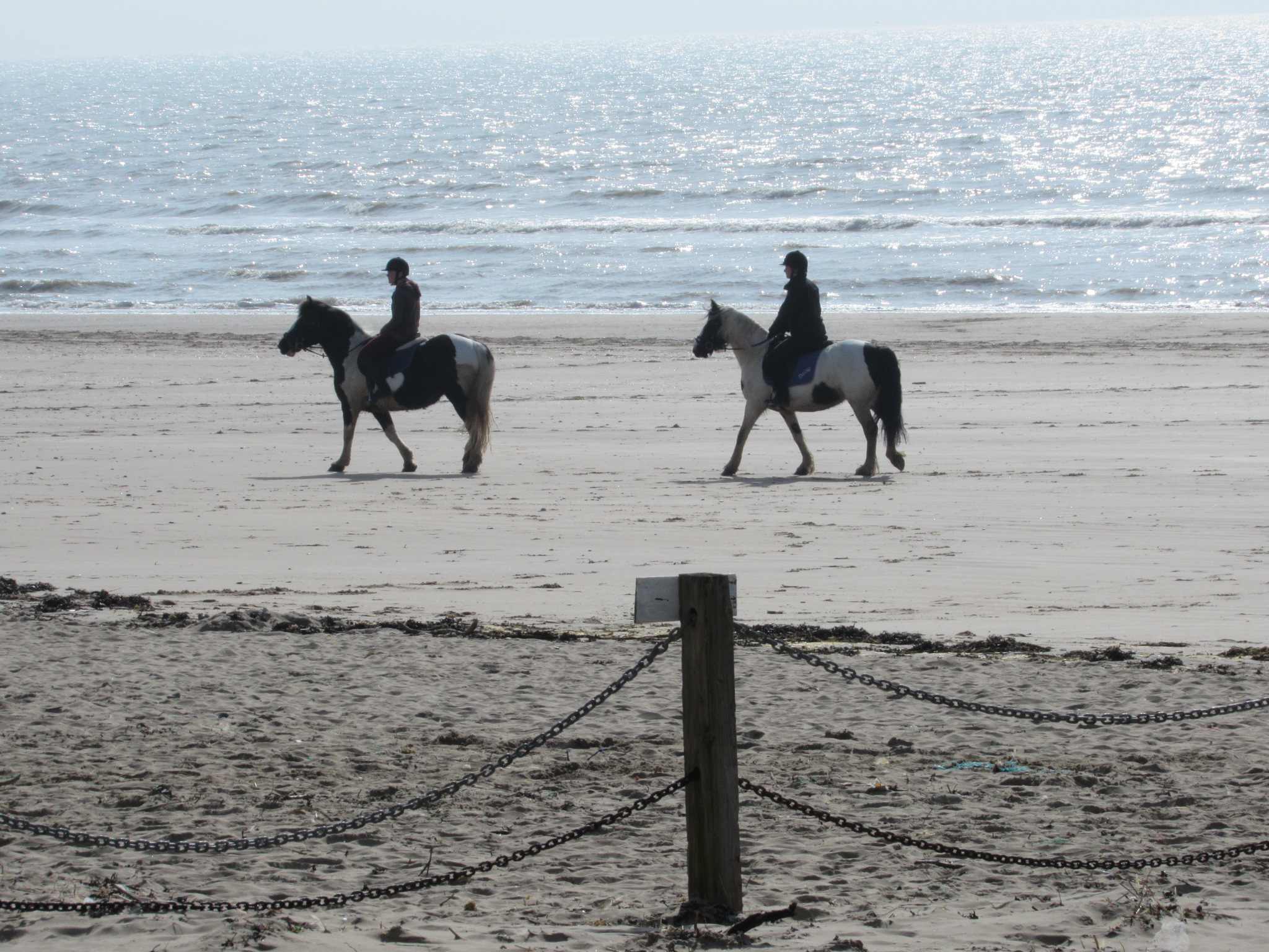 Stowaway Horses Camber Sands