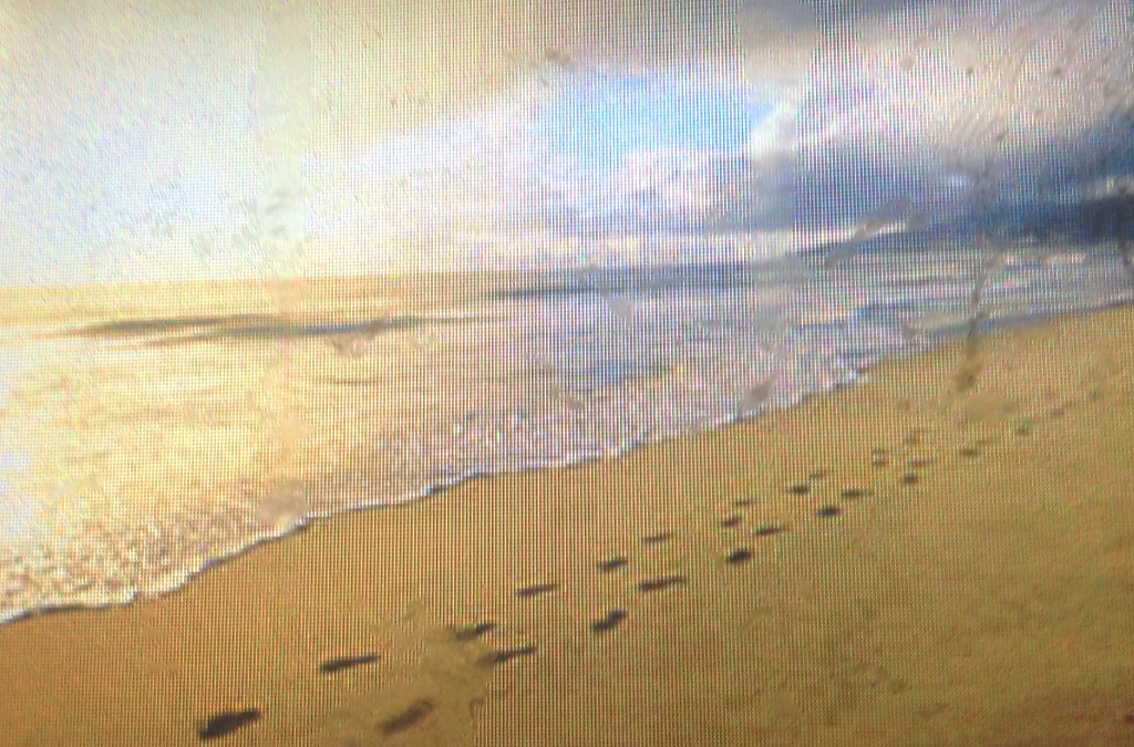 Camber Sands a location for all seasons